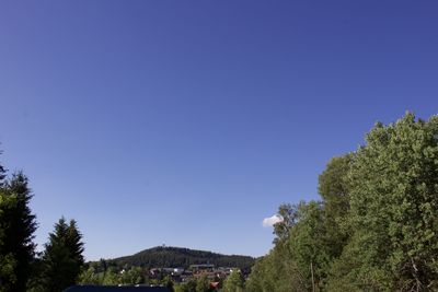 Trees on landscape against clear blue sky