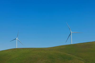 environmental conservation