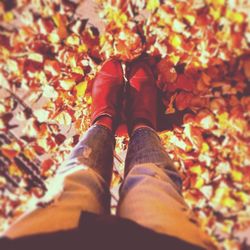 Low section of woman standing in park