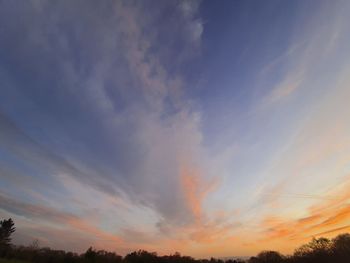 Low angle view of silhouette trees against sky at sunset