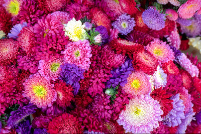 Full frame shot of pink flowers