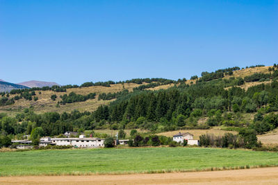 Scenic view of field against clear blue sky