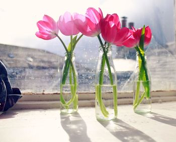 Close-up of pink flower vase on table