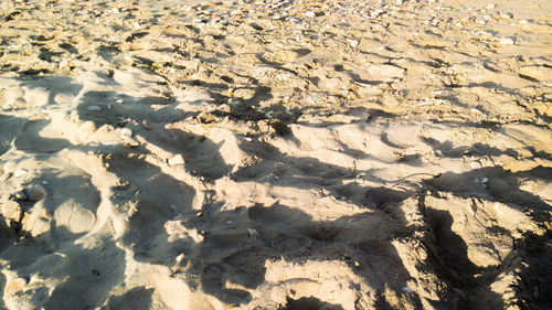 High angle view of shadow on landscape