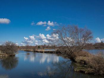 Scenic view of river by trees against sky