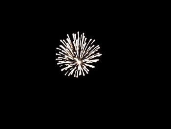 Low angle view of firework display at night