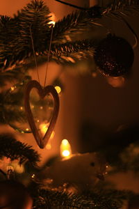 Close-up of christmas tree at night