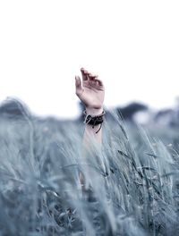 Close-up of hand in field