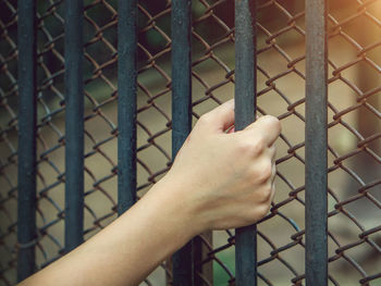 Cropped hand holding fence