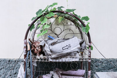 Graffiti on stone wall by street