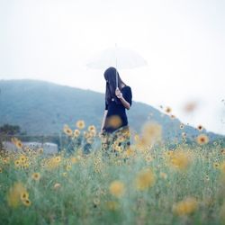 Woman with umbrella at flower field