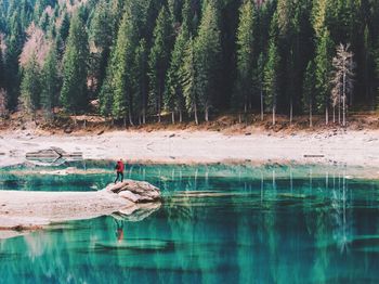 Reflection of trees in water