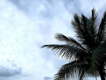 Low angle view of silhouette tree against sky