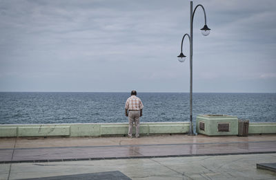 Rear view of man looking at sea against sky