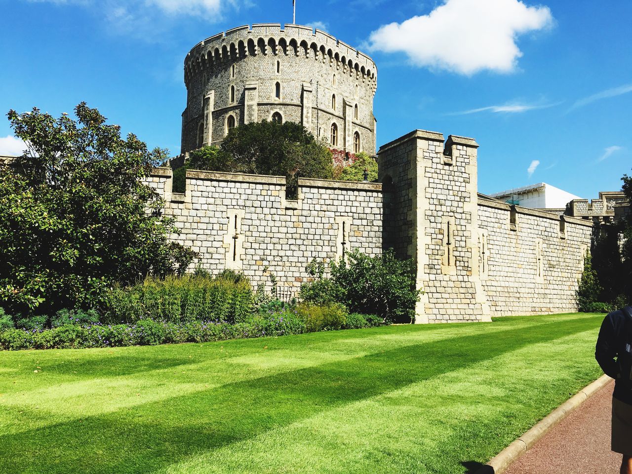 architecture, built structure, building exterior, sunlight, day, tree, history, grass, outdoors, growth, castle, green color, sky, nature, no people