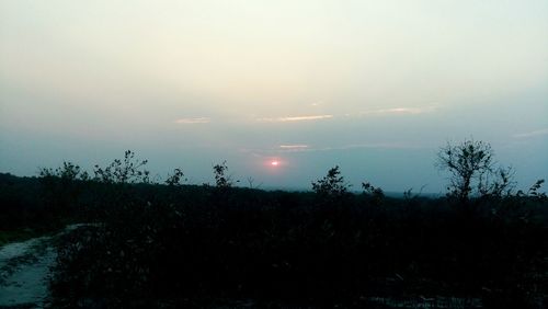 Scenic view of field against sky during sunset