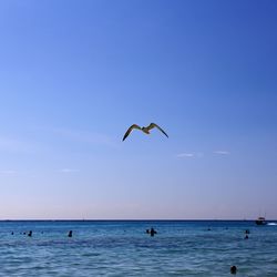 Seagulls flying over sea against sky