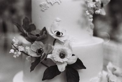 Close-up of flowers against blurred background