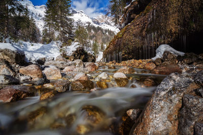 Stream flowing through rocks in forest