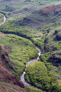 High angle view of stream amidst trees