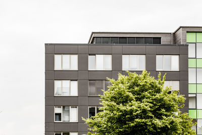 Low angle view of building