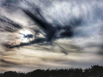 Silhouette trees against cloudy sky