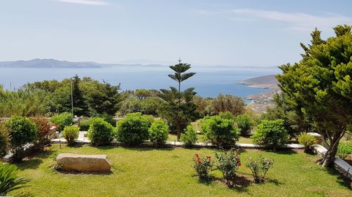 Scenic view of park against sky