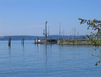 Sailboats in sea against clear blue sky