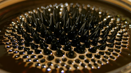 High angle view of leaf