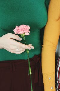 Close-up of hand holding flower