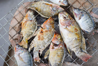 Close-up of seafood for sale at market stall