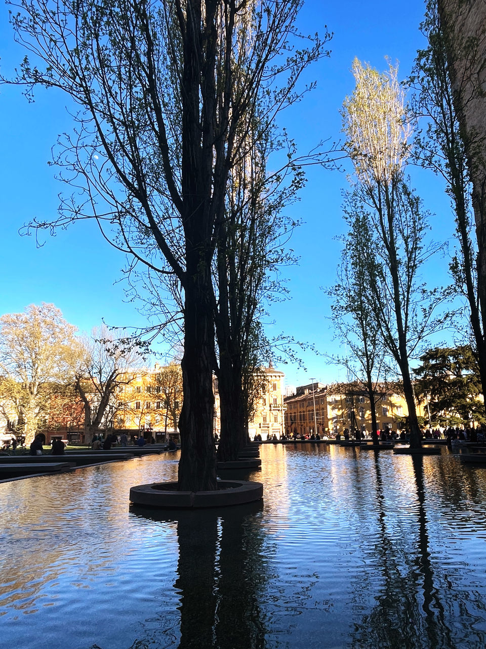 reflection, tree, water, plant, sky, evening, nature, river, autumn, architecture, bare tree, no people, dusk, branch, tranquility, beauty in nature, winter, built structure, outdoors, blue, flower, scenics - nature, sunlight, tranquil scene, day, waterway, travel destinations, sunset, tree trunk, clear sky, trunk, building exterior, waterfront, leaf, city