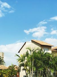 Low angle view of palm trees against sky