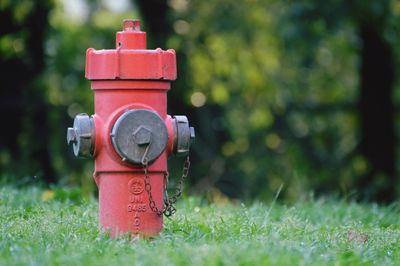 Close-up of fire hydrant