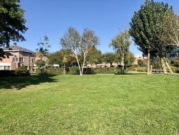 Trees and houses on field against sky