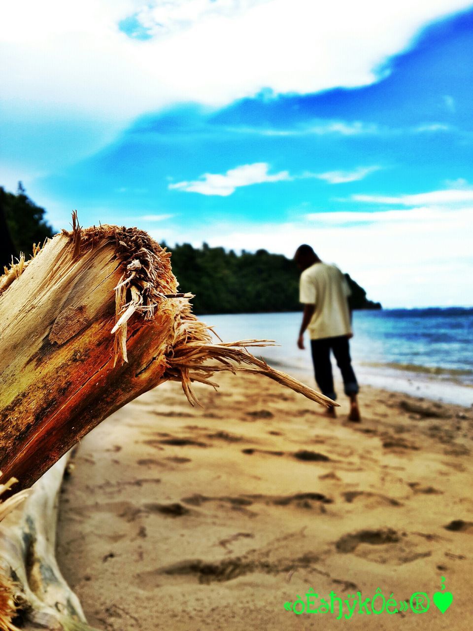 beach, sea, sky, water, horizon over water, shore, sand, rear view, nature, cloud - sky, tranquility, scenics, cloud, beauty in nature, tranquil scene, day, full length, outdoors