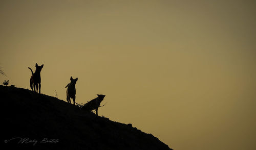 Low angle view of silhouette people standing on rock against sky