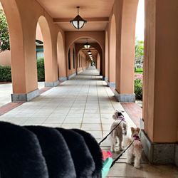 Corridor of building