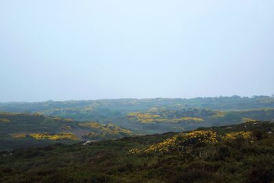 Scenic view of landscape against clear sky