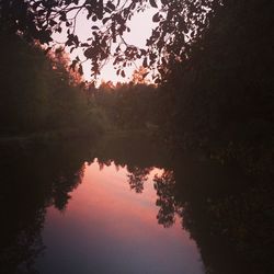 Reflection of silhouette trees in lake against sky at sunset