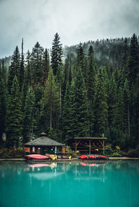 Boathouse and canoes at emerald lake in yoho national park, canada