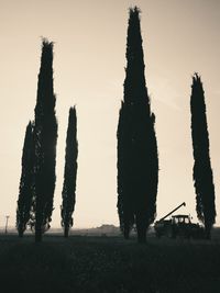 View of tree against sky