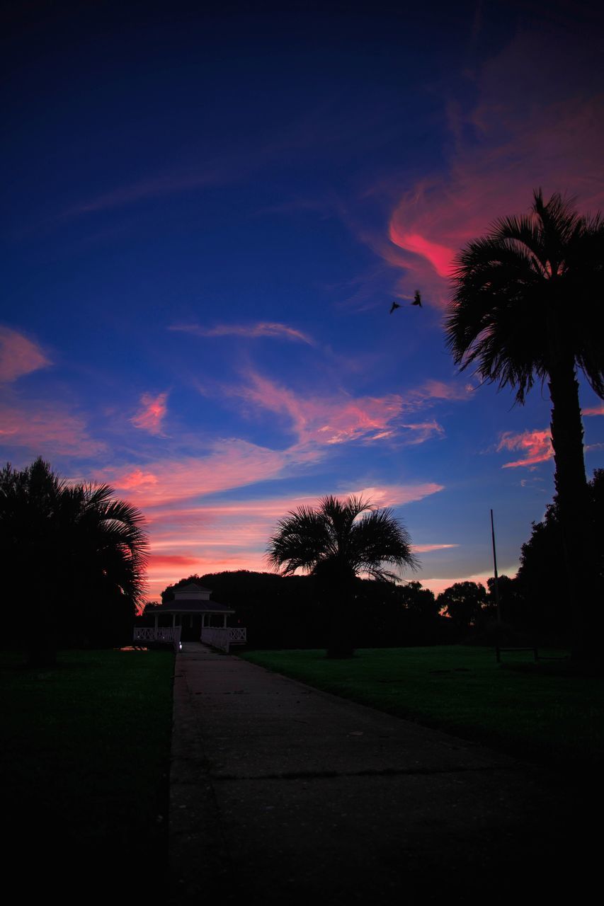 SILHOUETTE TREES BY GRASS AGAINST SKY