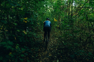 Rear view of man walking in forest