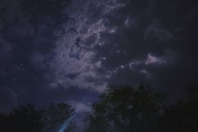 Low angle view of trees against sky at night