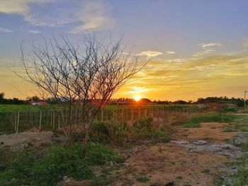 Scenic view of field against sky during sunset