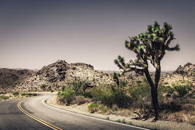 Trees by road against clear sky