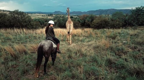 Woman riding horse in field with giraffe