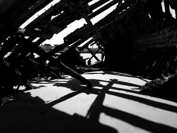 Close-up of shadow of tree