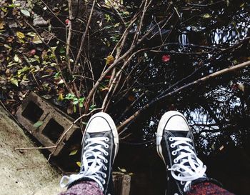 Low section of person wearing canvas shoes